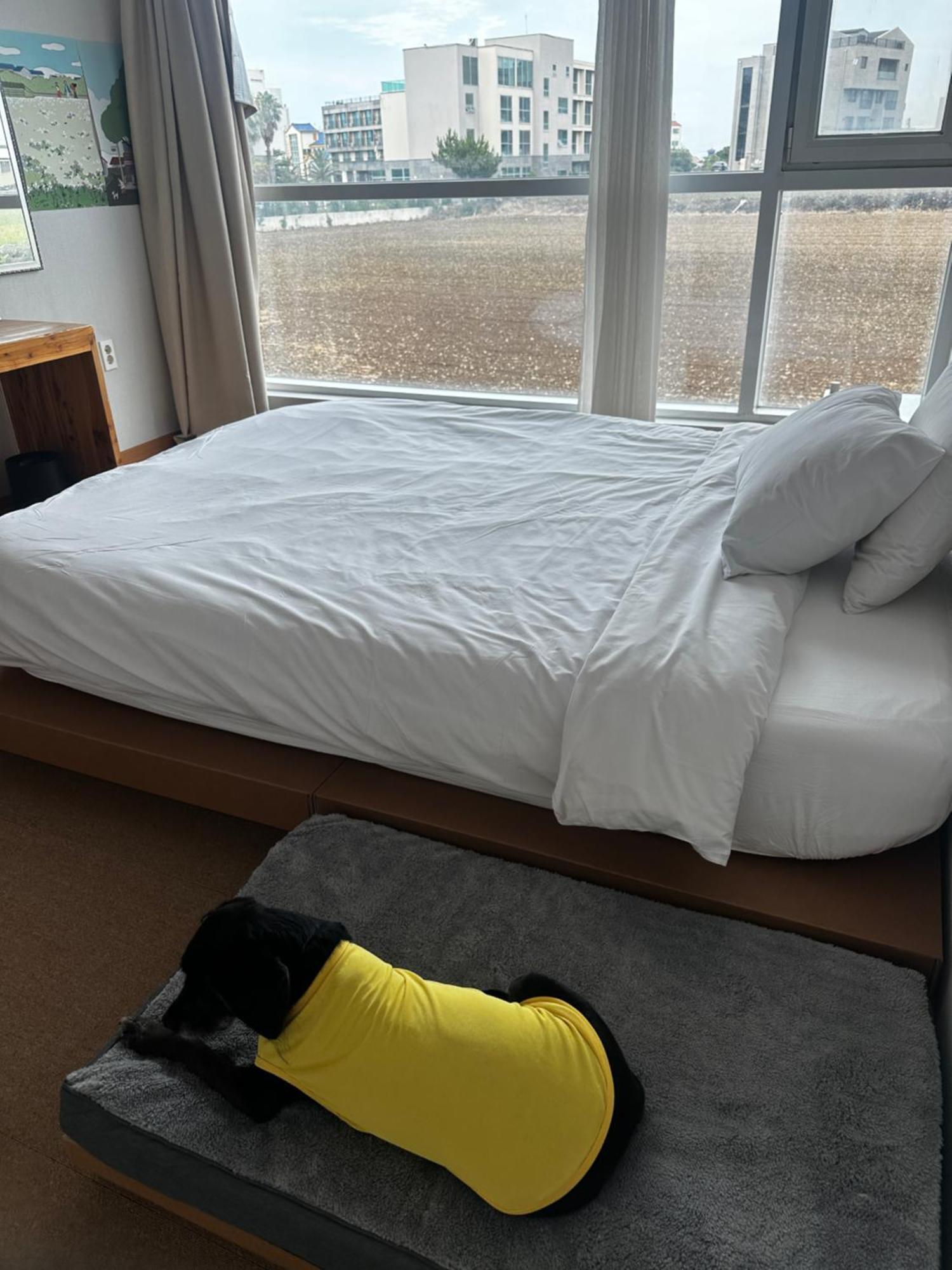 Bedradio Dodubong Hotell Togŭnnae Eksteriør bilde